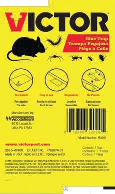 TRAMPA PAPEL P/RATON C/PEGAMENTO VICTOR MED VIC320I