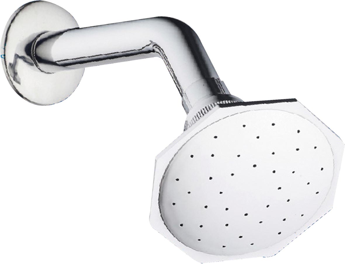 REGADERA REDONDA ABS C/BRAZO RCT34 MEER CNX