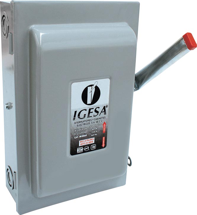 INTERRUPTOR 3 x 60 IGESA