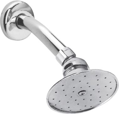 REGADERA 95811 REDONDA C/BZO Y CHAPETON 44M